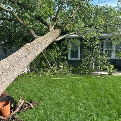 Large fallen tree leaning against the side of a house after a storm