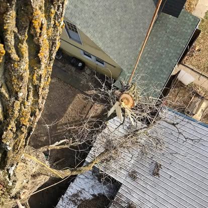 View from a tree of limbs being removed above a house roof